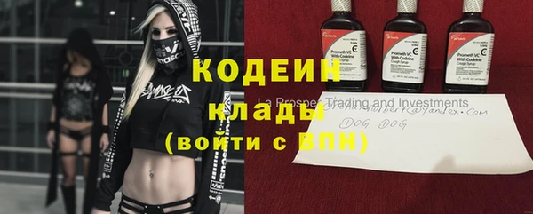 мяу мяу кристалл Бикин