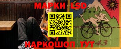 мдпв Гусев