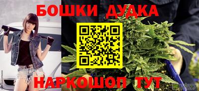 мдпв Гусев