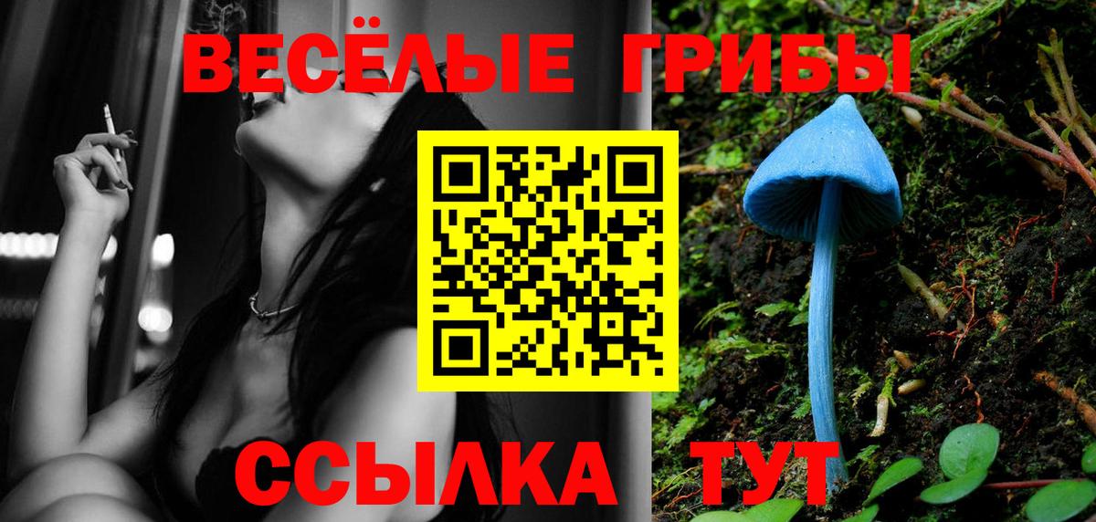 Можайск  Псилоцибиновые грибы Psilocybe  Вход с VPN  Псилоцибиновые грибы ЛСД 