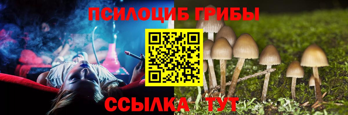 Псилоцибиновые грибы прущие грибы Можайск